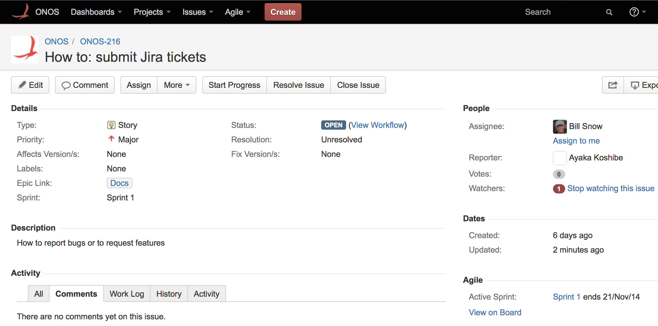 Jira Ticket Template